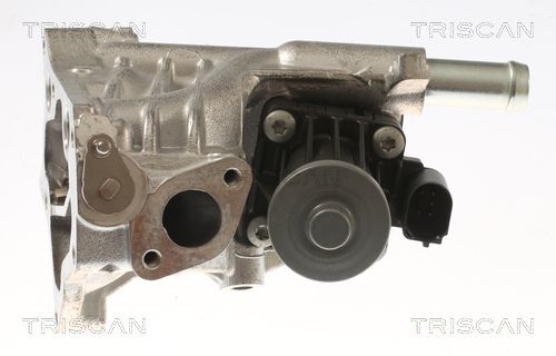 Zawór AGR TRISCAN 881310118