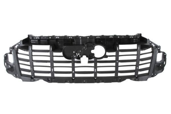 Banda de protectie, grila radiator BLIC 6502-07-0052993P