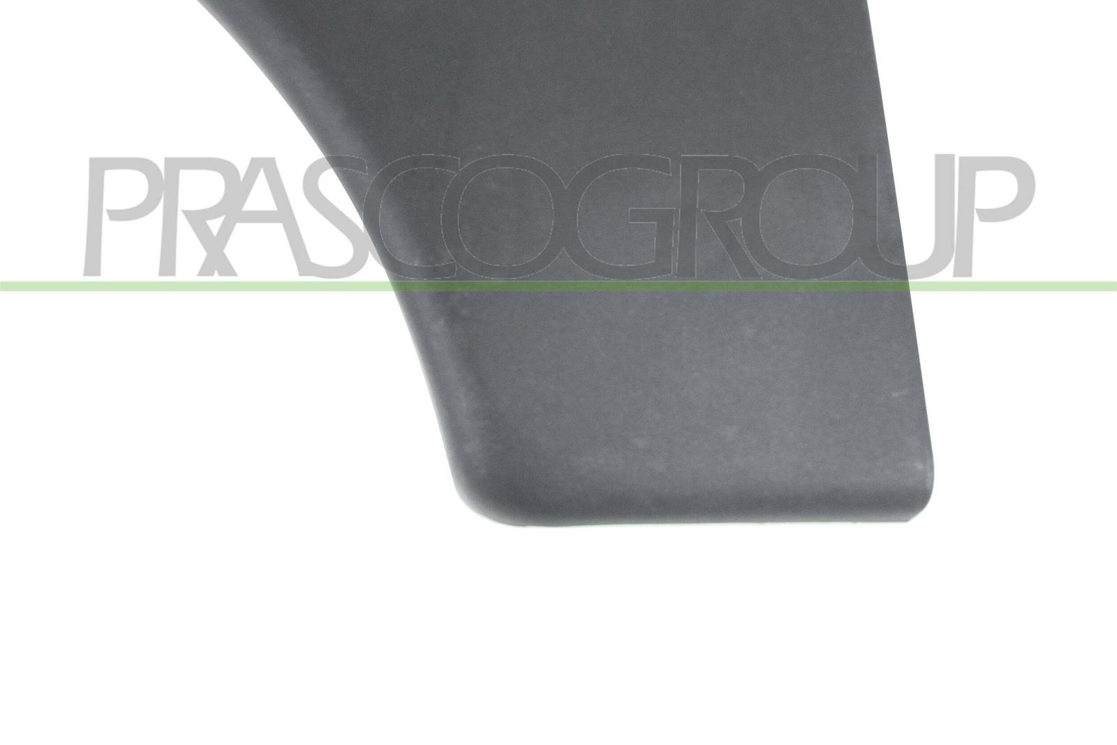 Elemente decorative/protectie, portiera PRASCO CI9151402
