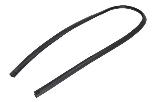 Elemente decorative/protectie, parbriz BLIC 5703-04-6037874Q