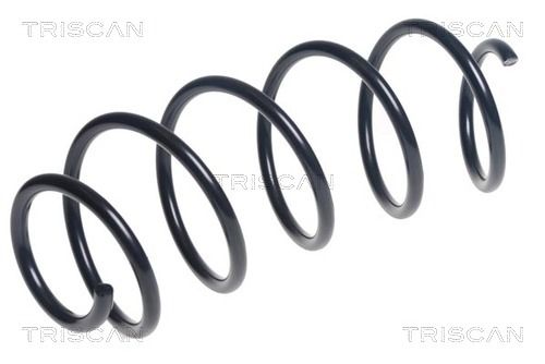Arc spiral TRISCAN 8750 28256