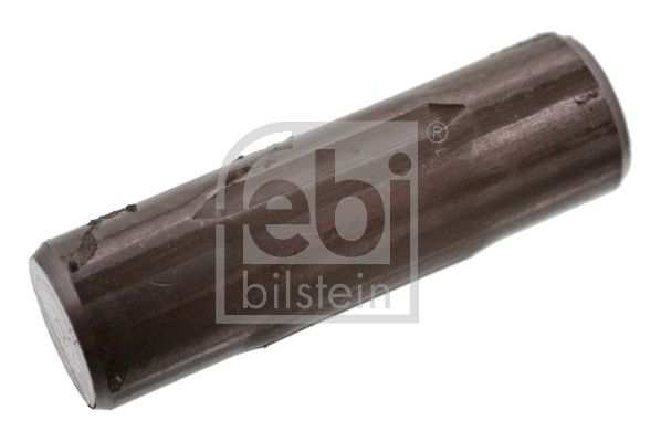 Stift fixare arc, saboti frana FEBI BILSTEIN 06424