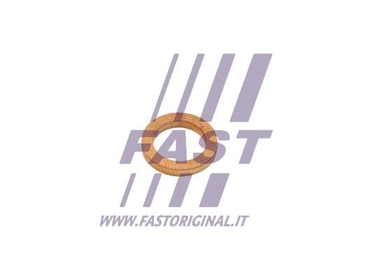 Uszczelnienie, wejście do turbiny (doładowanie) FAST FT48802