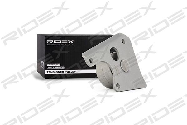 rolka kierunkowa / prowadząca, pasek rozrządu RIDEX 313D0075