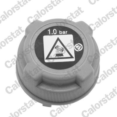 Pokrywa / Osłona CALORSTAT BY VERNET RC0197