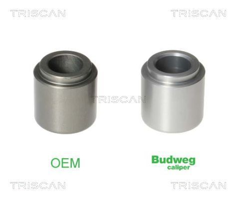 Tłoczek, zacisk hamulca TRISCAN 8170 233209