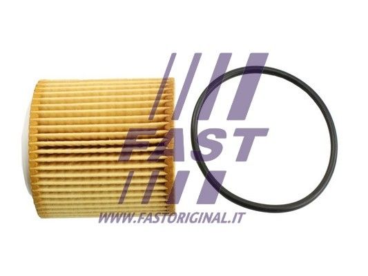Filtr oleju FAST FT38100