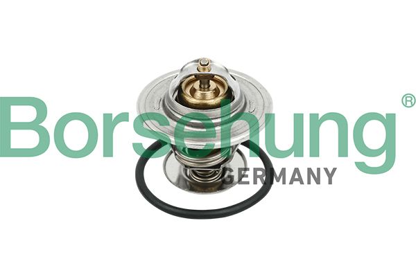 Termostat, środek chłodzący BORSEHUNG B18281