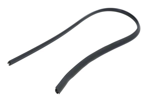 Elemente decorative/protectie, parbriz BLIC 5703-04-6037580Q
