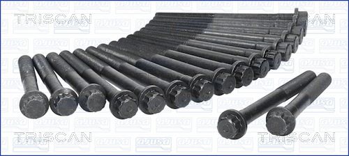 Zestaw śrub głowicy cylindrów TRISCAN 98-7503