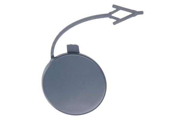 acoperire tampon,sistem de remorcare BLIC 5513-00-9599970P