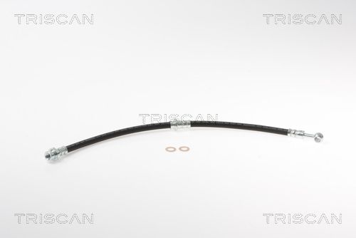 Furtun frana TRISCAN 8150 18169