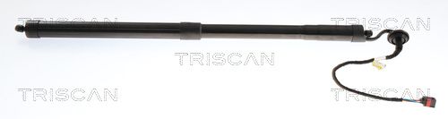 Amortizor portbagaj TRISCAN 8710 27314