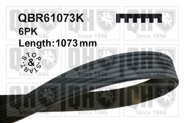 Pasek klinowy wielorowkowy QUINTON HAZELL QBR61073K