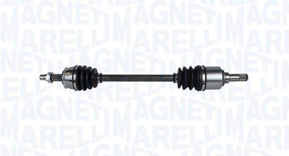Planetara MAGNETI MARELLI 302004190347