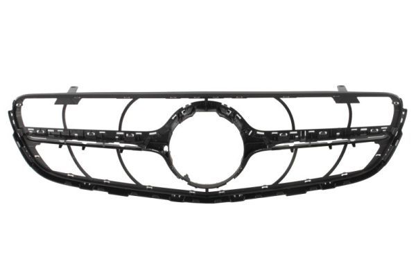 Grille de radiateur