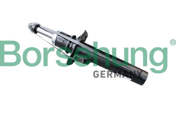Amortyzator BORSEHUNG B14722