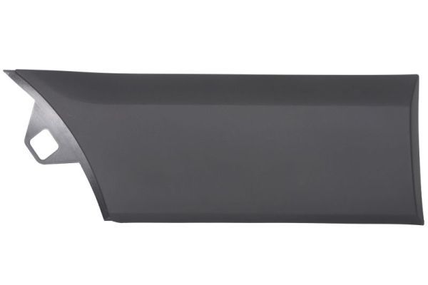 Ehis-/kaitseliist,Poritiib