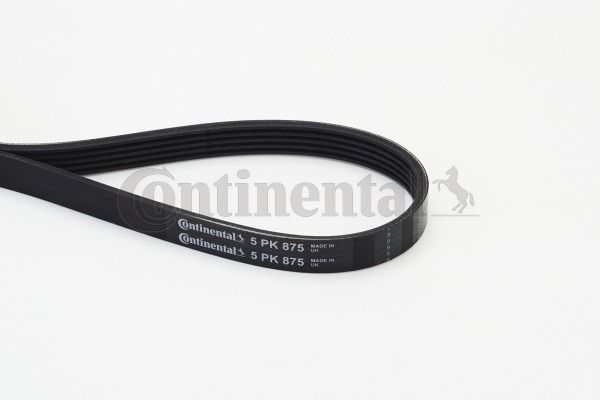 Pasek klinowy wielorowkowy CONTINENTAL CTAM 5PK875