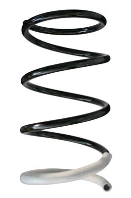 Arc spiral SPIDAN 86407