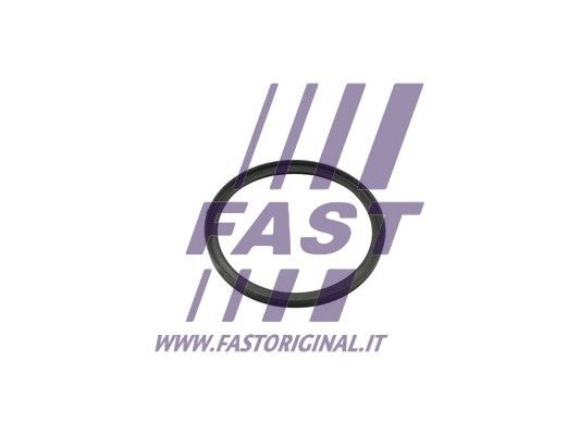 Pierścień uszczelniający, doładowanie FAST FT49857