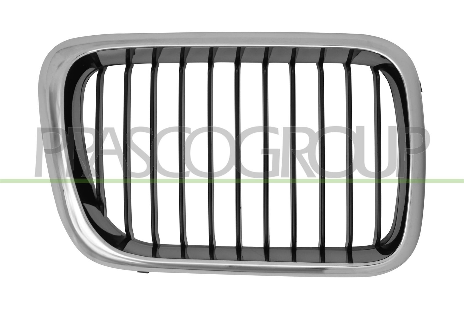 Grila radiator PRASCO BM0142123