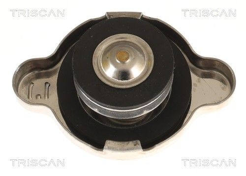 buson,radiator TRISCAN 8610 5