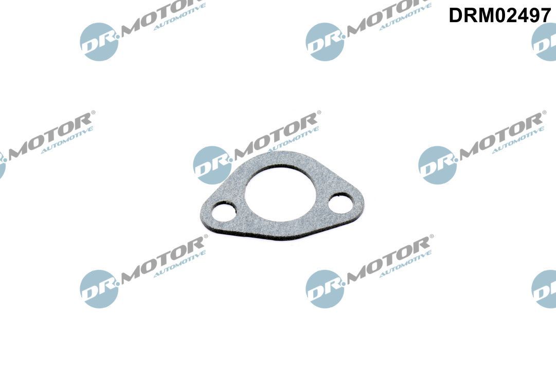 Uszczelka, rurka płynu chłodzącego DR.MOTOR AUTOMOTIVE DRM02497