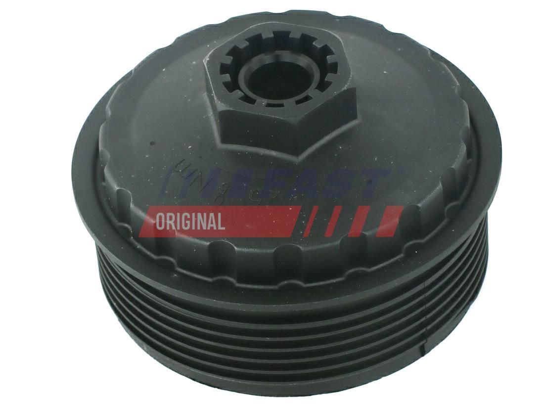 Capac, carcasa filtru ulei FAST FT94719
