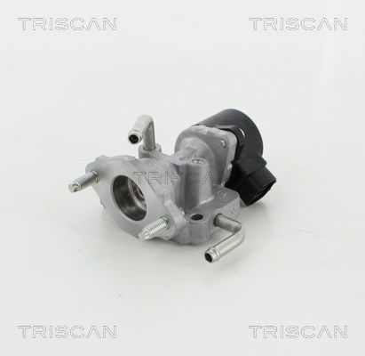 Supapa EGR TRISCAN 8813 13059