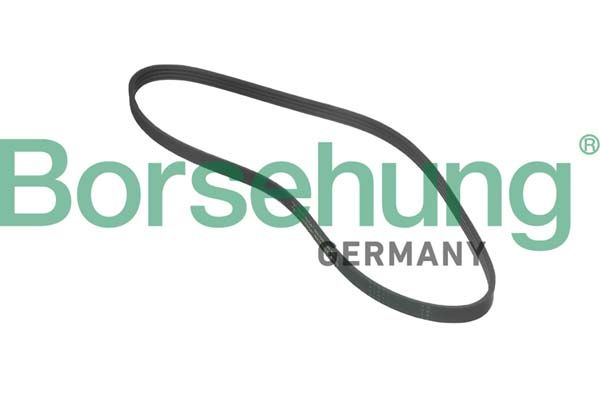 Pasek klinowy wielorowkowy BORSEHUNG B12381
