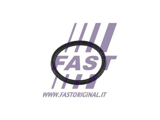 Pierścień uszczelniający, doładowanie FAST FT49854