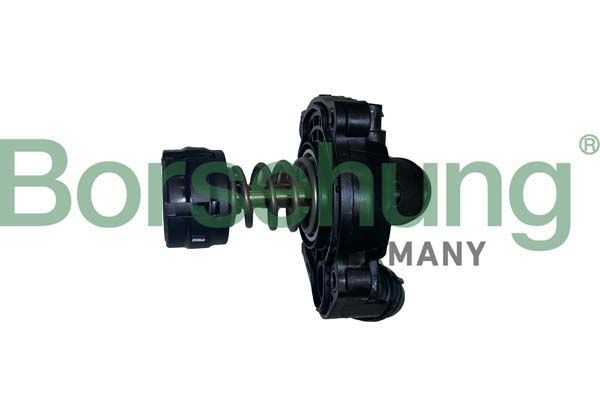 Termostat, środek chłodzący BORSEHUNG B10554