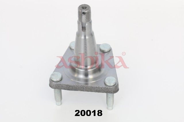 Butuc roata ASHIKA 44-20018
