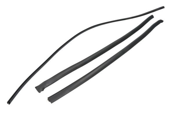 Elemente decorative/protectie, parbriz BLIC 5703-04-6037847Q