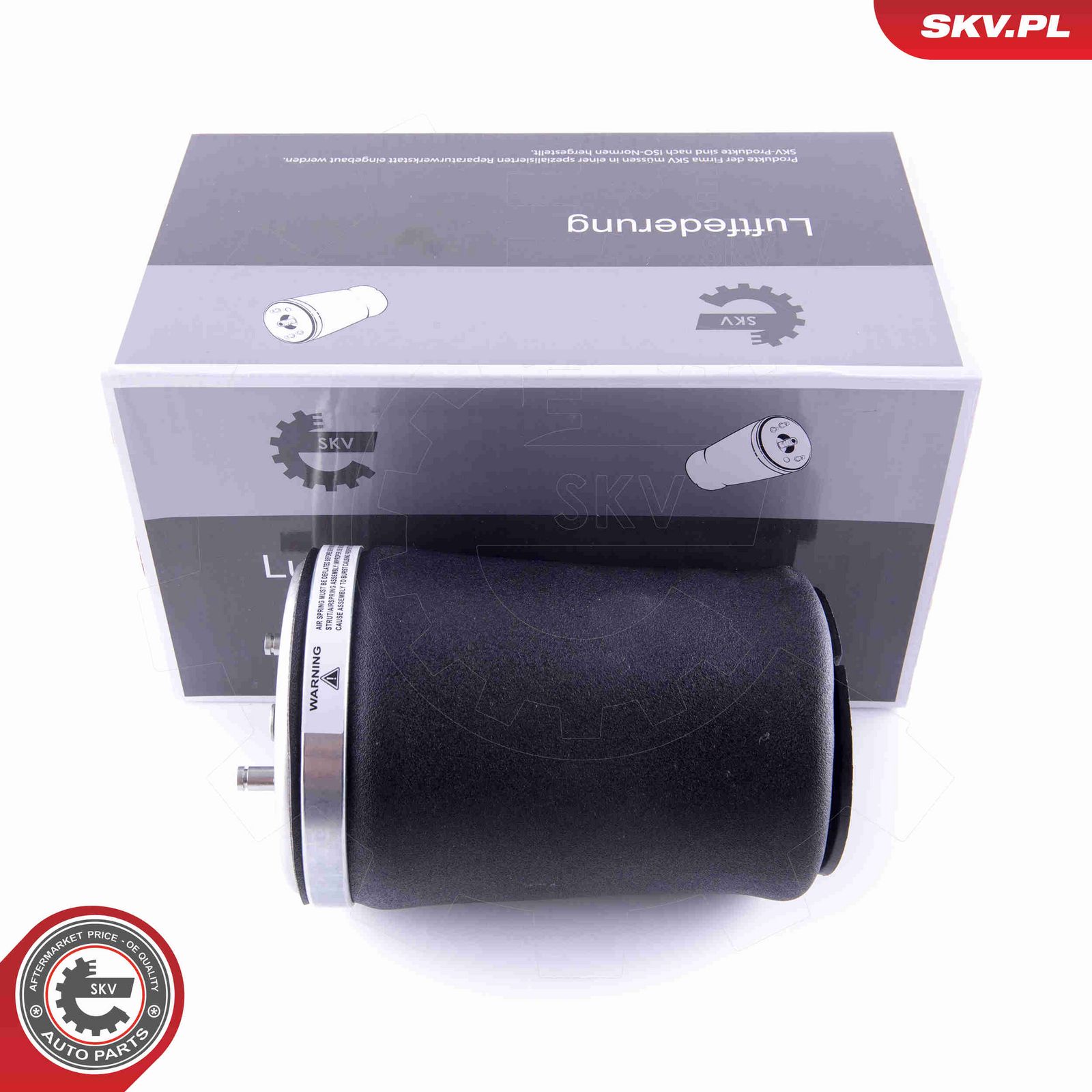 Pneimoatspere, Balstiekārta