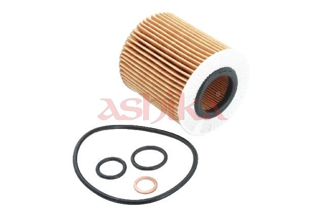 ASHIKA 10ECO079