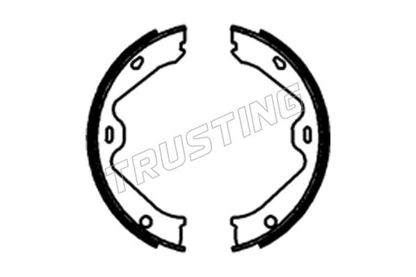 Zestaw szczęk hamulcowych, hamulec postojowy TRUSTING 253.748