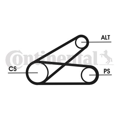 Zestaw paska klinowego wielorowkowego CONTINENTAL CTAM 6PK873 ELAST T1