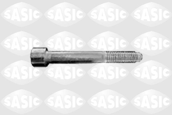 Śruba zaciskowa, wahacz wleczony / prowadzący SASIC 9136046