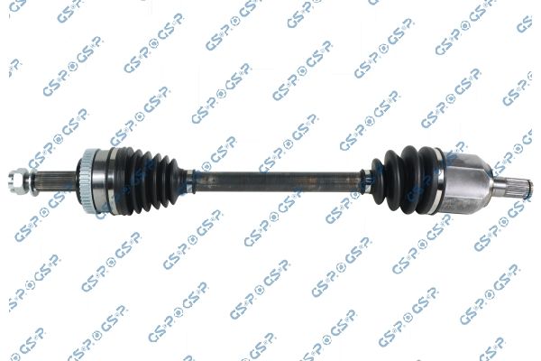 Planetara GSP 224231