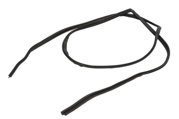 Elemente decorative/protectie, parbriz BLIC 5703-04-6037516Q