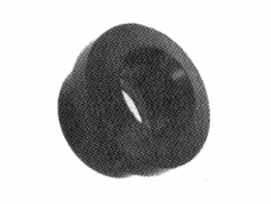 Łożyskowanie, resor piórowy TEDGUM 00512740