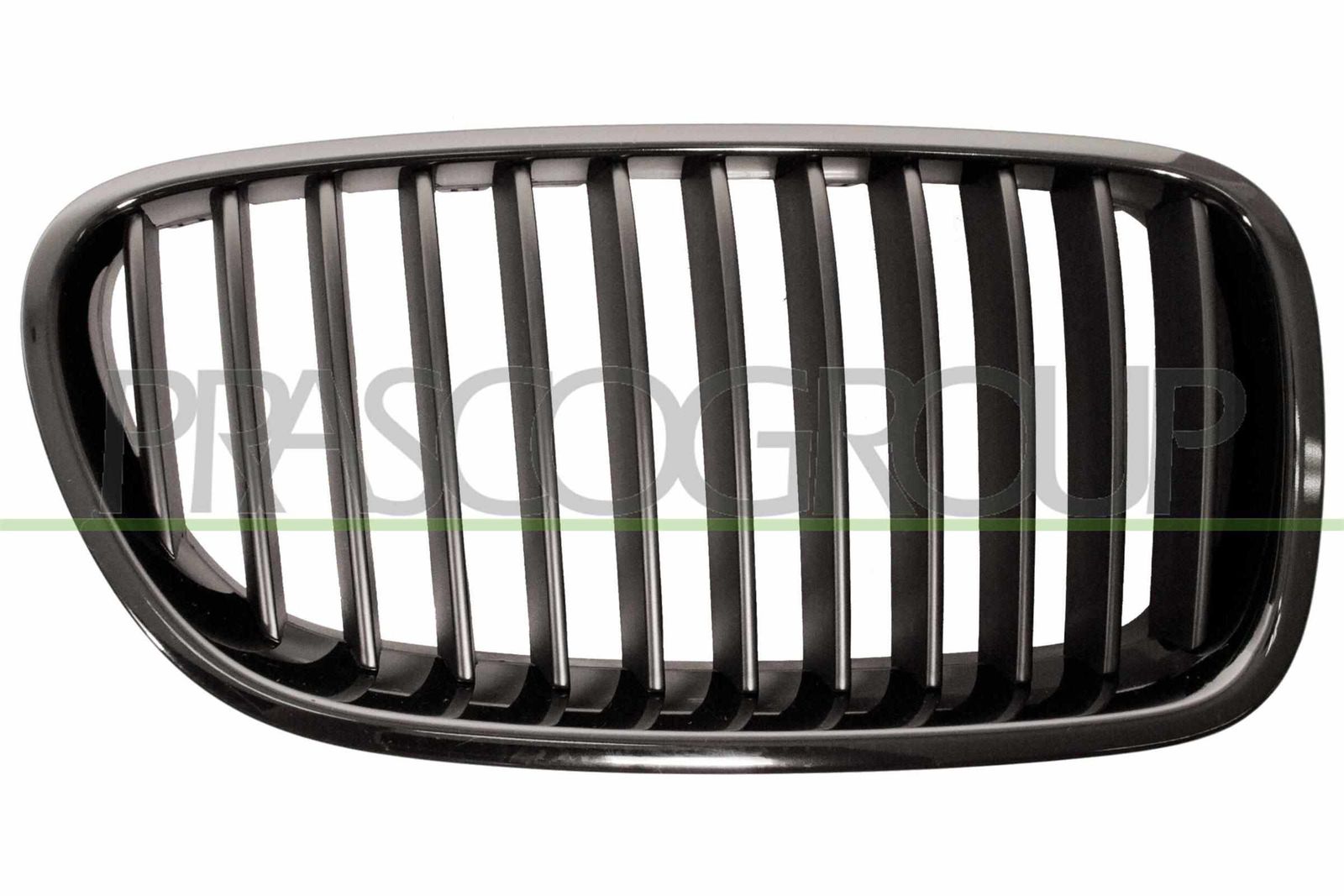 Grila radiator PRASCO BM0482003