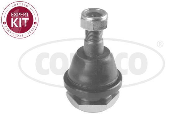 Pivot CORTECO 49395916