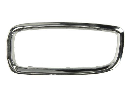 Banda de protectie, grila radiator BLIC 6502-07-0075997P