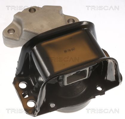 Łożyskowanie silnika TRISCAN 8505 28100