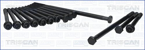 Zestaw śrub głowicy cylindrów TRISCAN 98-6005