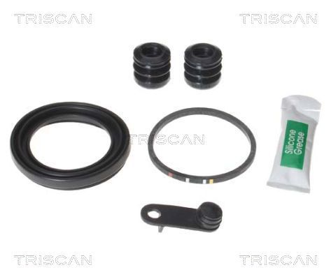 Zestaw naprawczy, zacisk hamulca TRISCAN 8170 205470