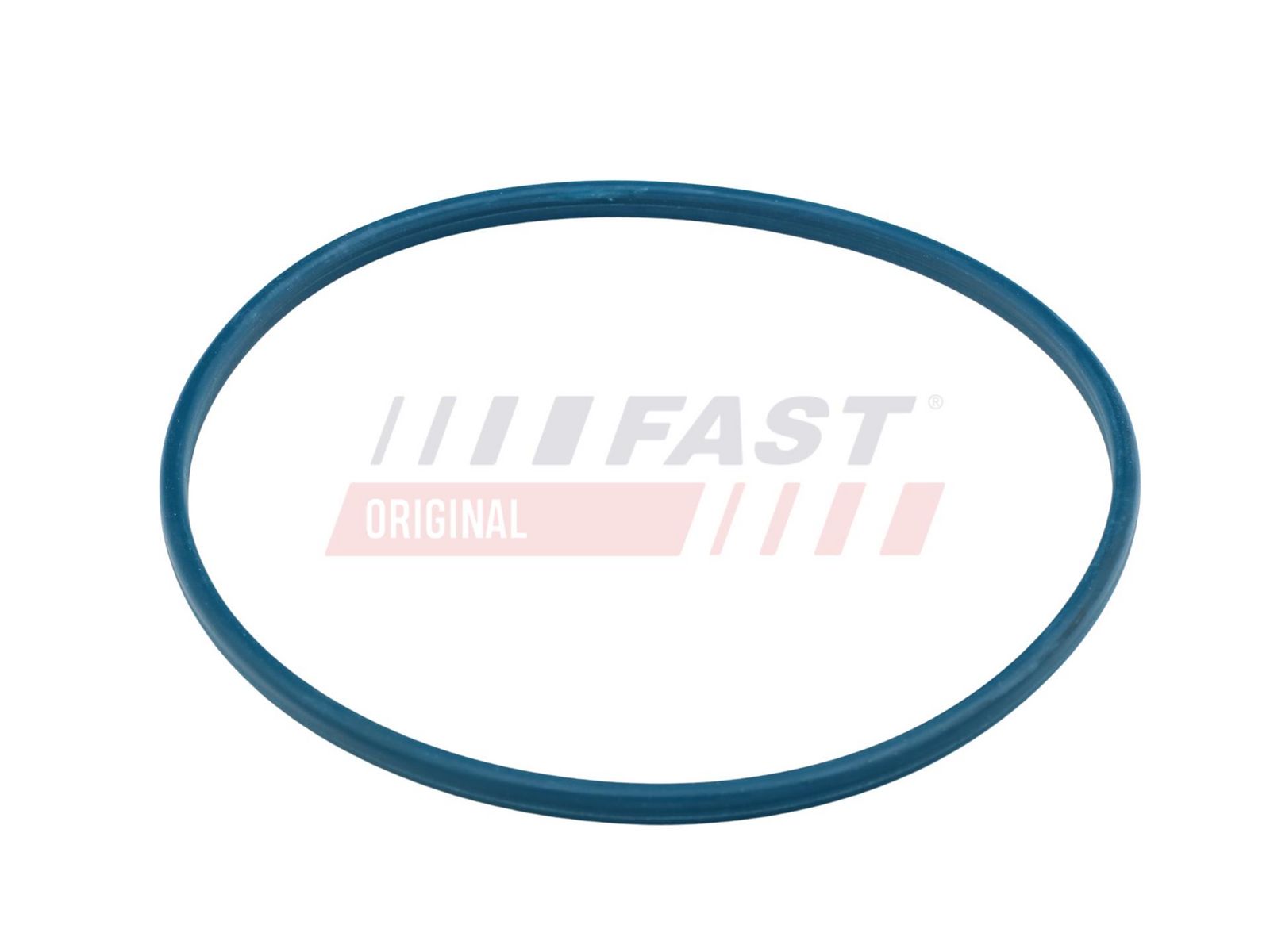 Garnitură de etanșare, capac rezervor de combustibil FAST FT48504